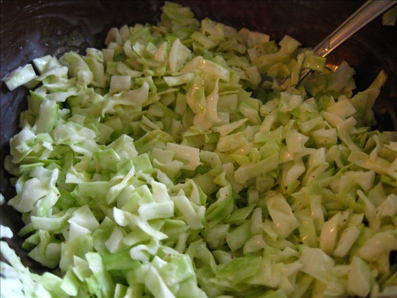 Coleslaw (with Green or Purple Cabbage) Busy Mom Recipes