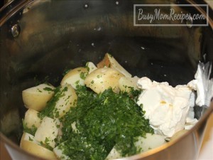 spinach mashed potatoes recipe
