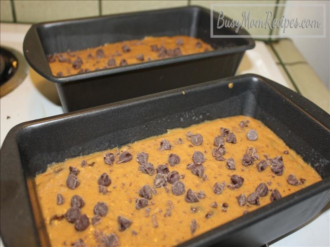 chocolate chip pumpkin bread recipe