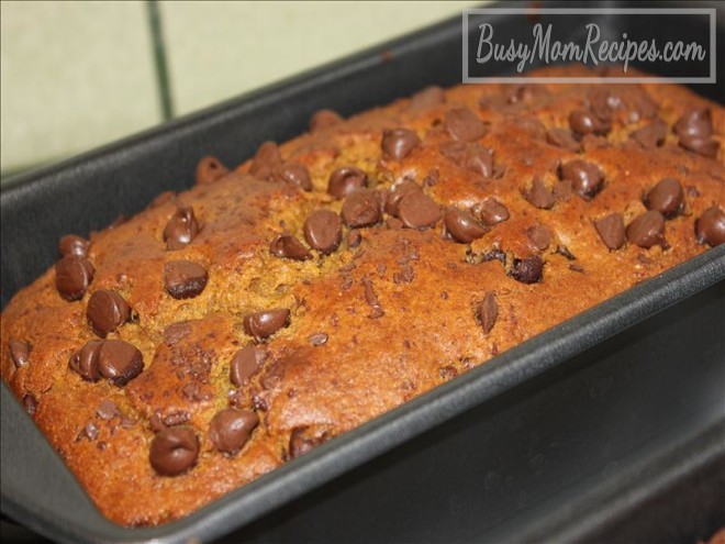 pumpkin bread with chocolate chips