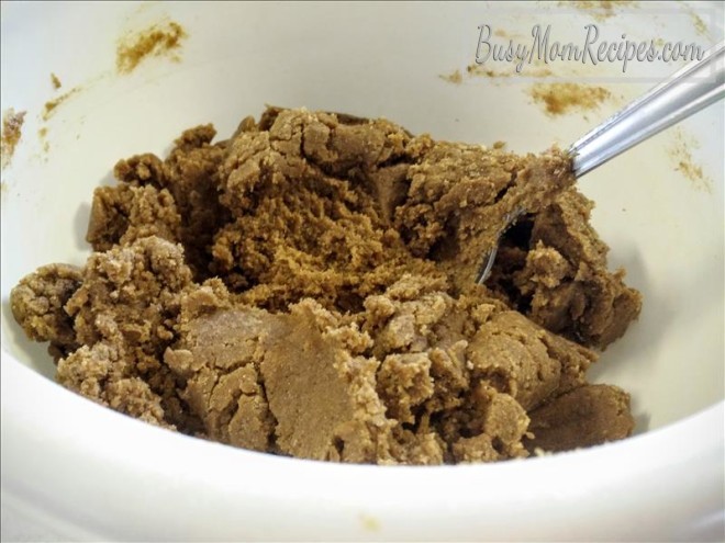Ginger Cookie Dough